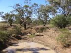 Quilpie Channel.JPG (97 KB)